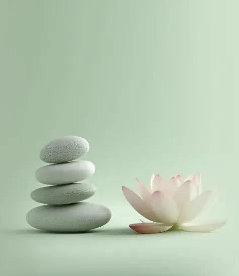 une image méditation avec des pierres et avec un lotus fond vert sauge clair, l'esprit zen méditation