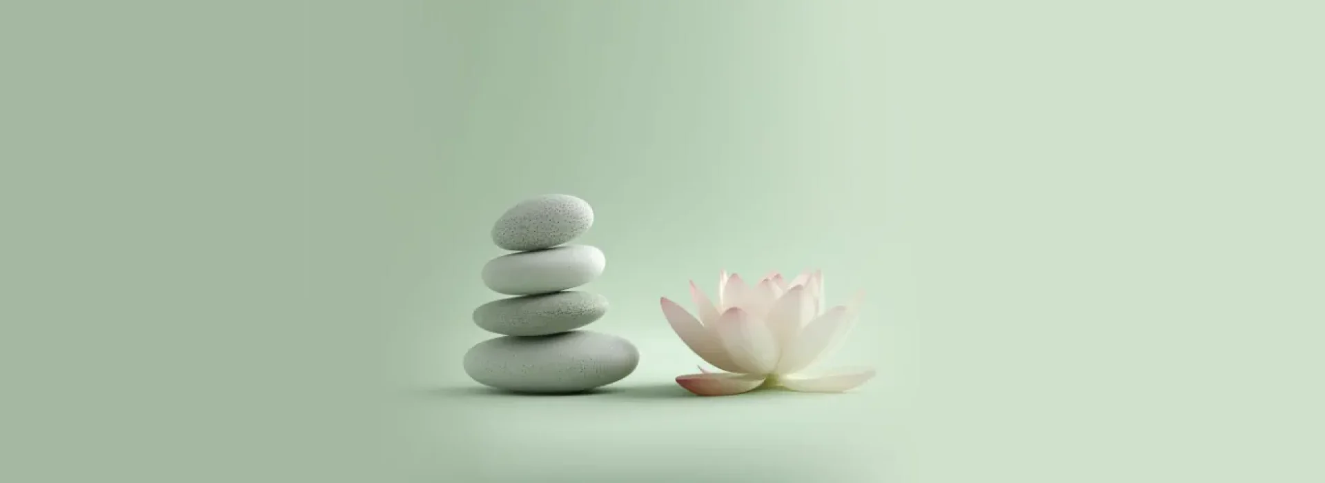 une image méditation avec des pierres et avec un lotus fond vert sauge clair, l'esprit zen méditation