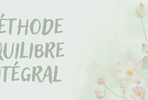 Méthode Équilibre Intégral