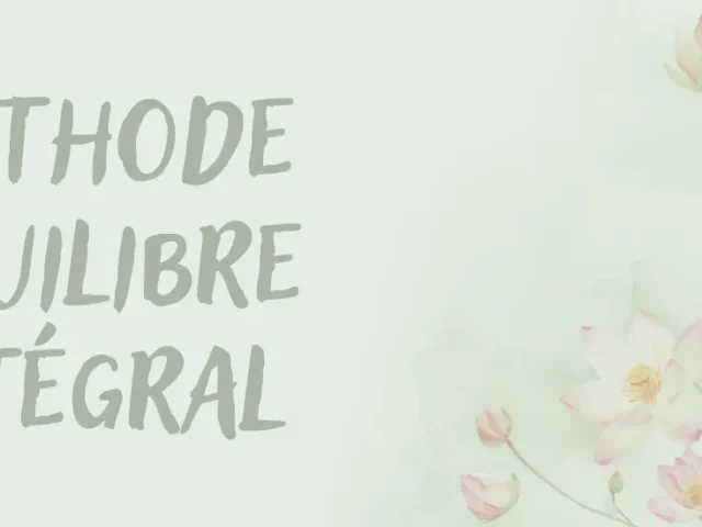 Méthode Équilibre Intégral